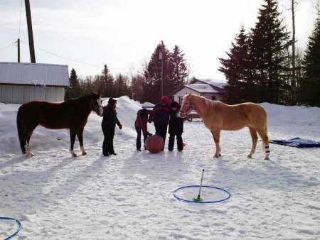 Horses Teach Yoga Students