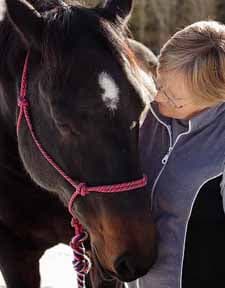 Yoga opens our hearts to horses
