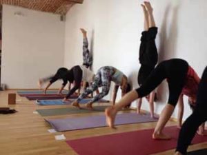 Kamala Vienna_handstands