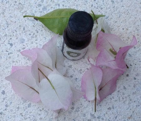 EXPLORING ESSENTIAL OILS