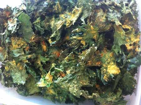 Recipe: Kale Chips