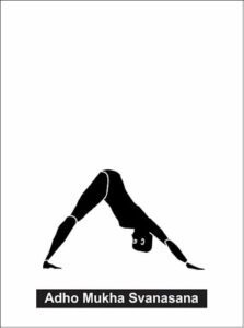 Meru Asana, or Adho Mukha Svanasana, is an inverted pose.