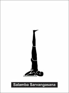 Shoulderstand is considered the queen of asana poses, because of it's many benefits.