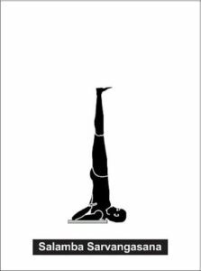 Shoulderstand is considered the queen of asana poses, because of it's many benefits.