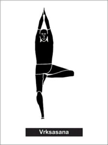 Vrksasana, the tree pose, helps to focus and quiet the mind and strengthen the body.