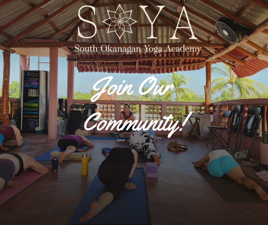 Soya- Join Our Community!