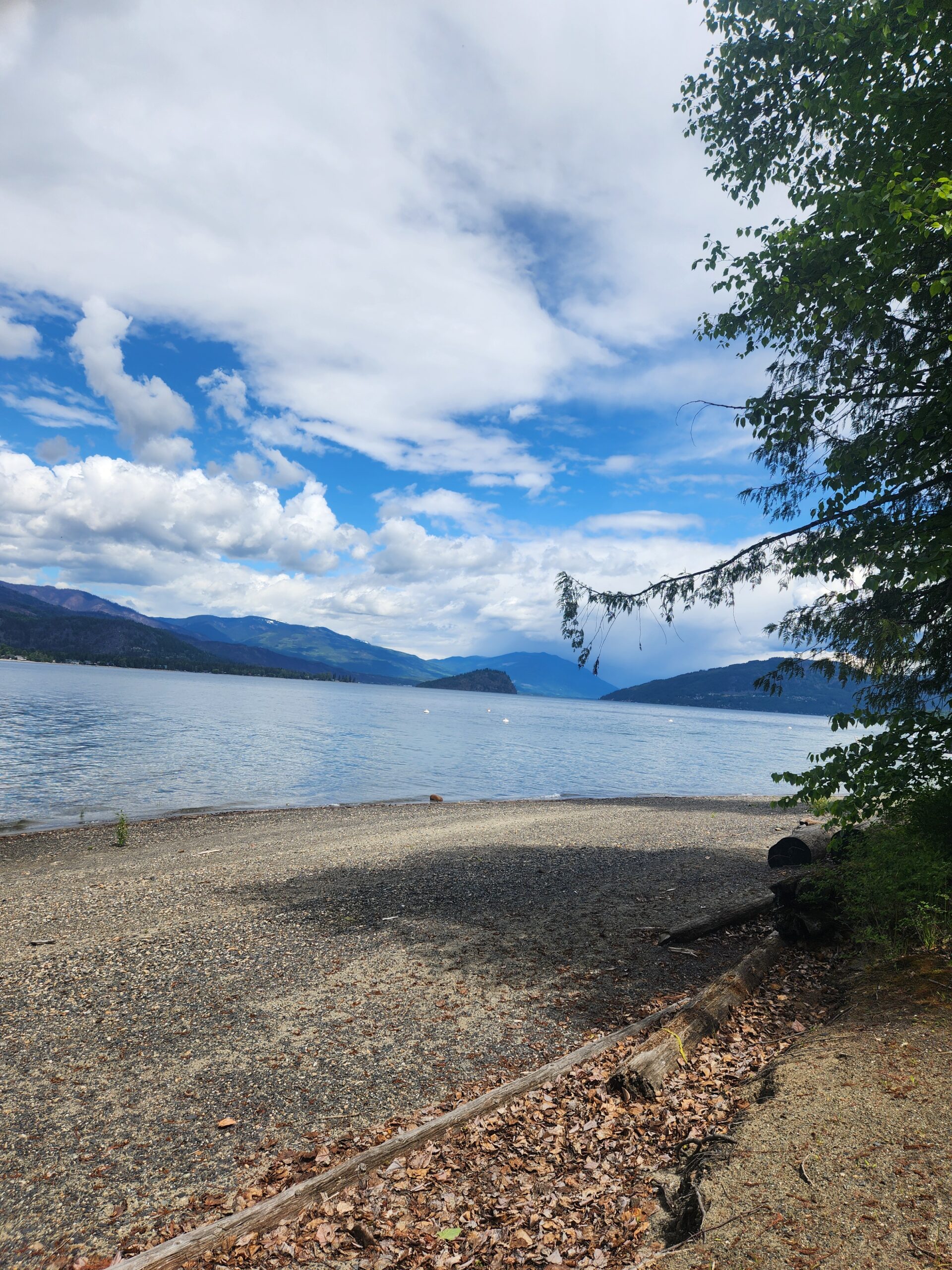 2026 SOYA Annual Yoga Retreat - Image 16